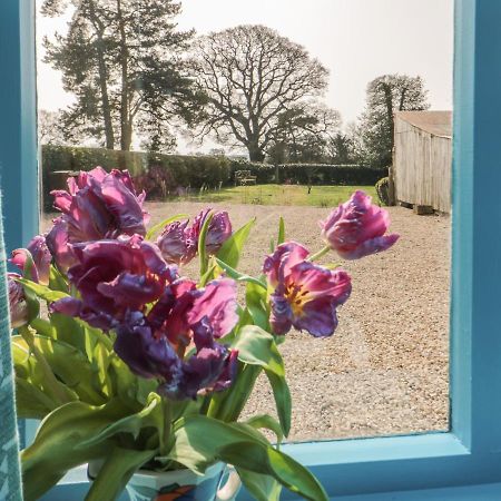 Foxglove Cottage York Zewnętrze zdjęcie